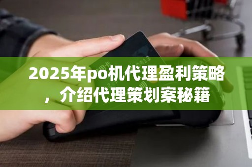 2025年po机代理盈利策略，介绍代理策划案秘籍
