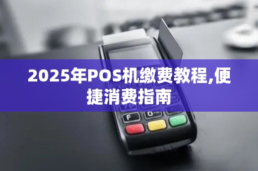 2025年POS机缴费教程,便捷消费指南