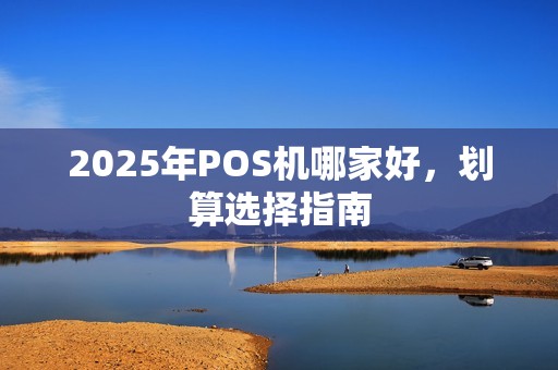 2025年POS机哪家好，划算选择指南