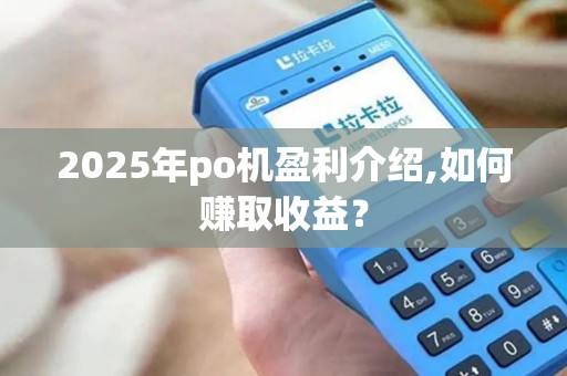 2025年po机盈利介绍,如何赚取收益？