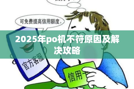 2025年po机不符原因及解决攻略