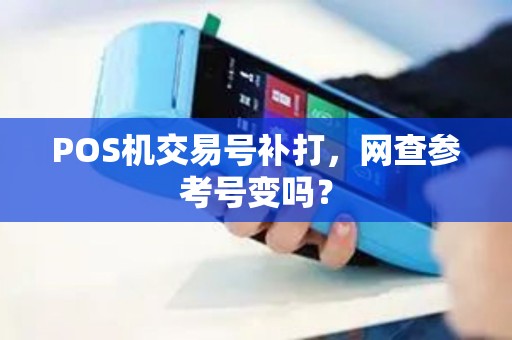 POS机交易号补打，网查参考号变吗？
