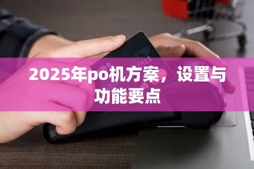 2025年po机方案，设置与功能要点