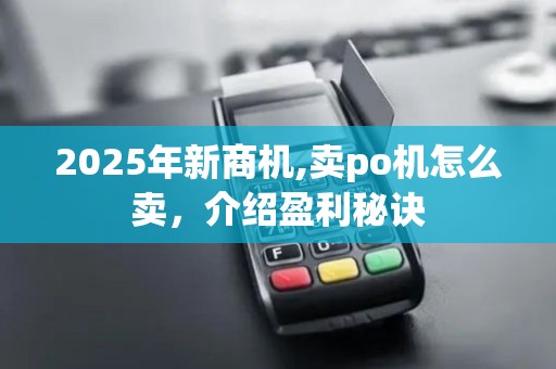 2025年新商机,卖po机怎么卖，介绍盈利秘诀