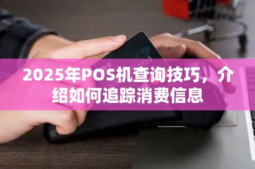 2025年POS机查询技巧，介绍如何追踪消费信息