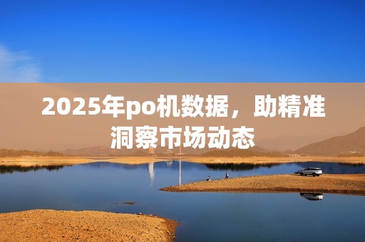2025年po机数据，助精准洞察市场动态