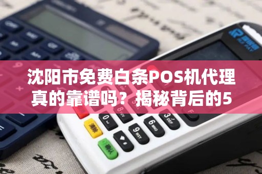 沈阳市免费白条POS机代理真的靠谱吗？揭秘背后的5大陷阱！