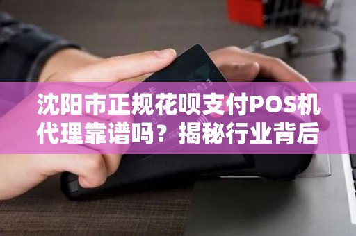 沈阳市正规花呗支付POS机代理靠谱吗？揭秘行业背后的真相！