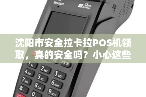 沈阳市安全拉卡拉POS机领取，真的安全吗？小心这些隐藏风险！
