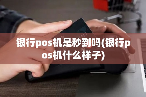 银行pos机是秒到吗(银行pos机什么样子)