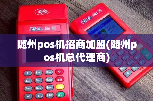 随州pos机招商加盟(随州pos机总代理商)