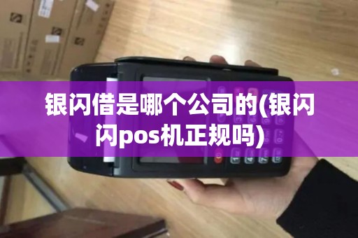 银闪借是哪个公司的(银闪闪pos机正规吗)