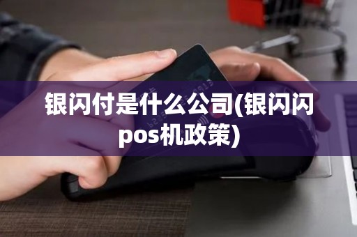 银闪付是什么公司(银闪闪pos机政策)