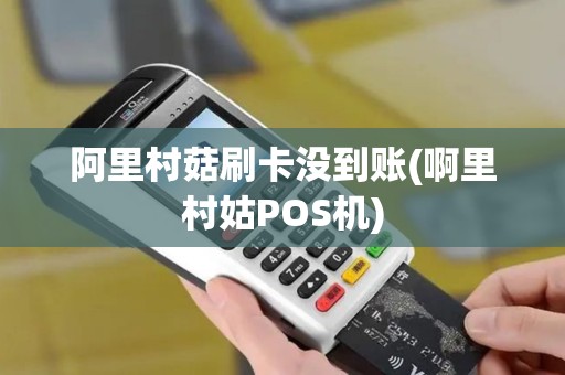 阿里村菇刷卡没到账(啊里村姑POS机)