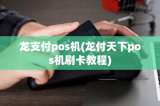 龙支付pos机(龙付天下pos机刷卡教程)