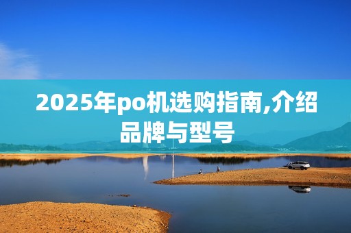 2025年po机选购指南,介绍品牌与型号