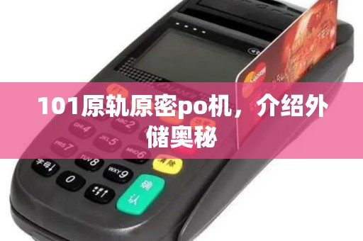 101原轨原密po机，介绍外储奥秘