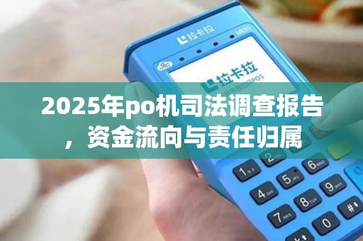 2025年po机司法调查报告，资金流向与责任归属