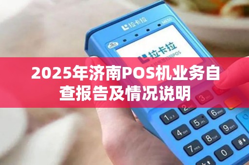 2025年济南POS机业务自查报告及情况说明