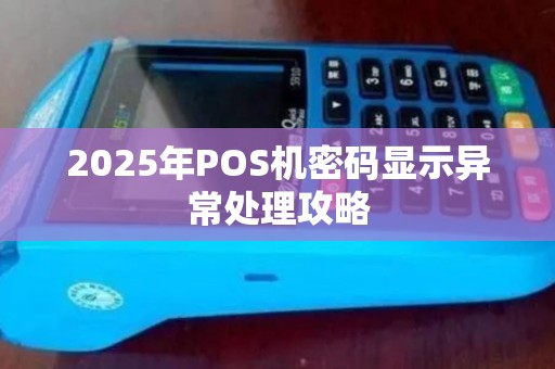 2025年POS机密码显示异常处理攻略