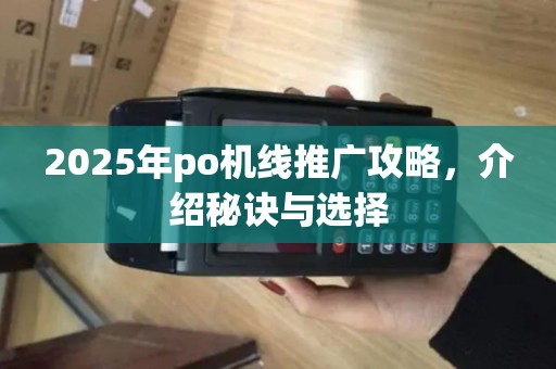 2025年po机线推广攻略，介绍秘诀与选择
