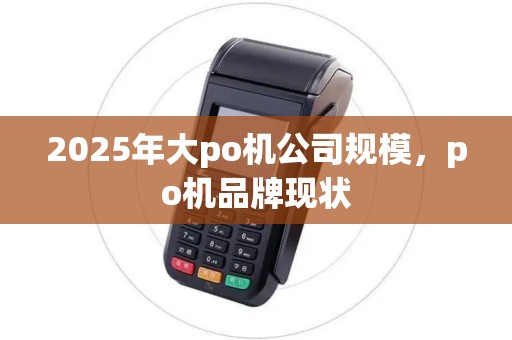 2025年大po机公司规模，po机品牌现状