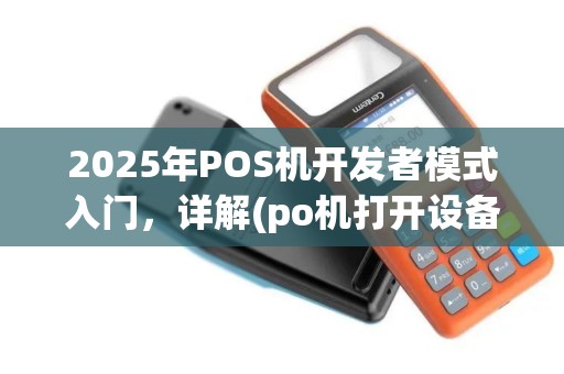 2025年POS机开发者模式入门，详解(po机打开设备失败)解决策略