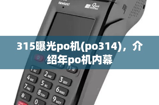 315曝光po机(po314)，介绍年po机内幕