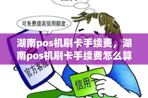 湖南pos机刷卡手续费，湖南pos机刷卡手续费怎么算