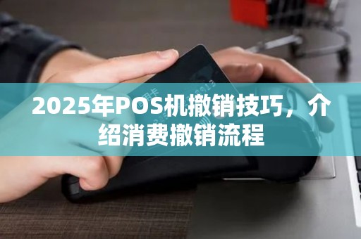2025年POS机撤销技巧，介绍消费撤销流程