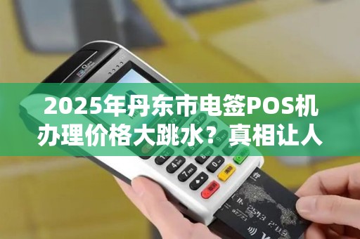2025年丹东市电签POS机办理价格大跳水？真相让人意外！