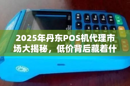 2025年丹东POS机代理市场大揭秘，低价背后藏着什么猫腻？