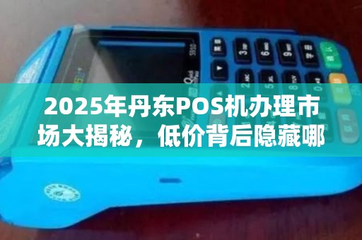 2025年丹东POS机办理市场大揭秘，低价背后隐藏哪些猫腻？
