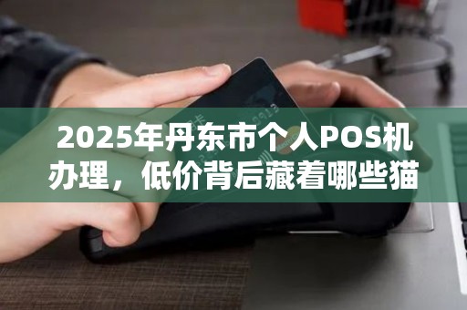 2025年丹东市个人POS机办理，低价背后藏着哪些猫腻？