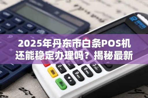 2025年丹东市白条POS机还能稳定办理吗？揭秘最新政策与办理攻略！