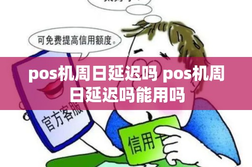 pos机周日延迟吗 pos机周日延迟吗能用吗