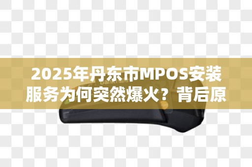 2025年丹东市MPOS安装服务为何突然爆火？背后原因令人震惊！