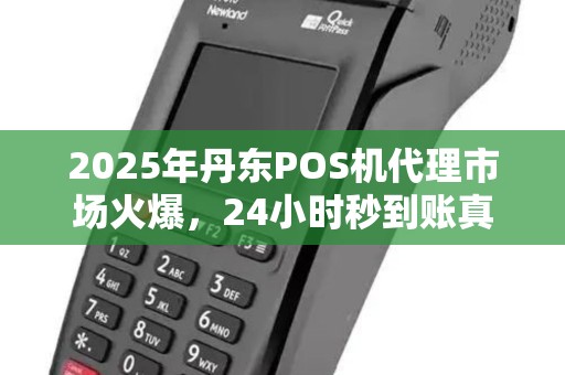 2025年丹东POS机代理市场火爆，24小时秒到账真的靠谱吗？深度解析行业真相！