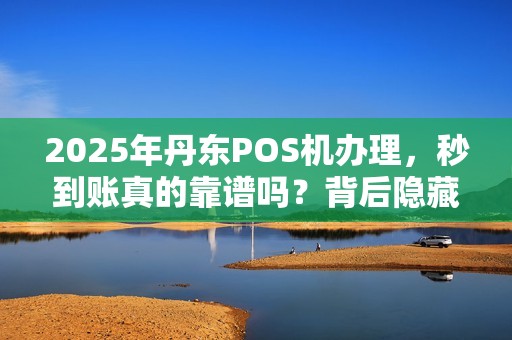 2025年丹东POS机办理，秒到账真的靠谱吗？背后隐藏哪些风险？