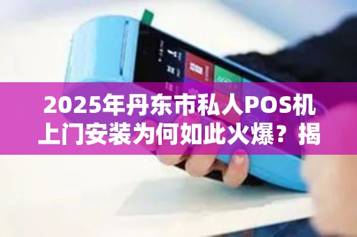 2025年丹东市私人POS机上门安装为何如此火爆？揭秘背后真相！
