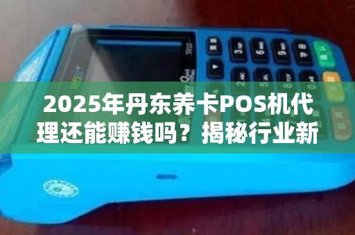 2025年丹东养卡POS机代理还能赚钱吗？揭秘行业新机遇与陷阱！