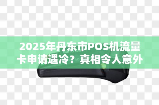 2025年丹东市POS机流量卡申请遇冷？真相令人意外！