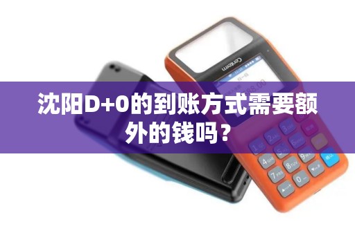 沈阳D+0的到账方式需要额外的钱吗? 沈阳D+0的到账方式需要额外的钱吗?