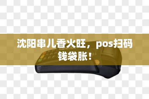 沈阳串儿香火旺，pos扫码钱袋胀！