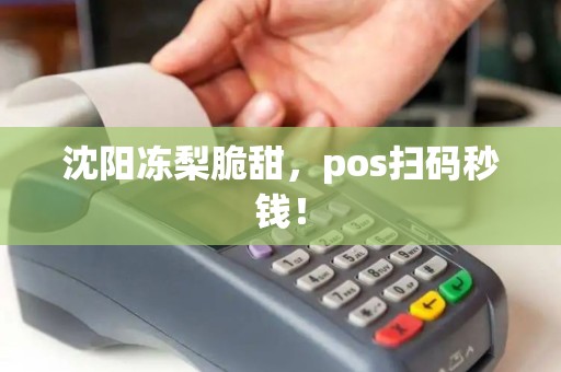 沈阳冻梨脆甜，pos扫码秒钱！