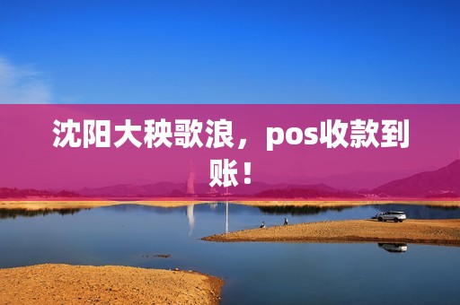 沈阳大秧歌浪，pos收款到账！