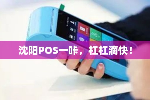 沈阳POS一咔，杠杠滴快！