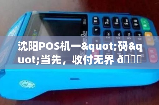 沈阳POS机一"码"当先，收付无界 🌐