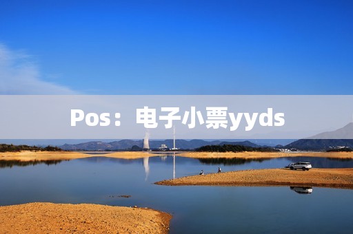 Pos：电子小票yyds