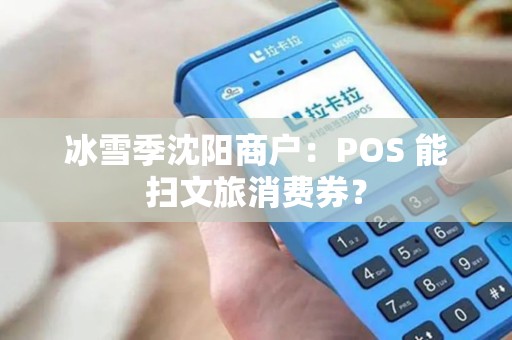 冰雪季沈阳商户：POS 能扫文旅消费券？